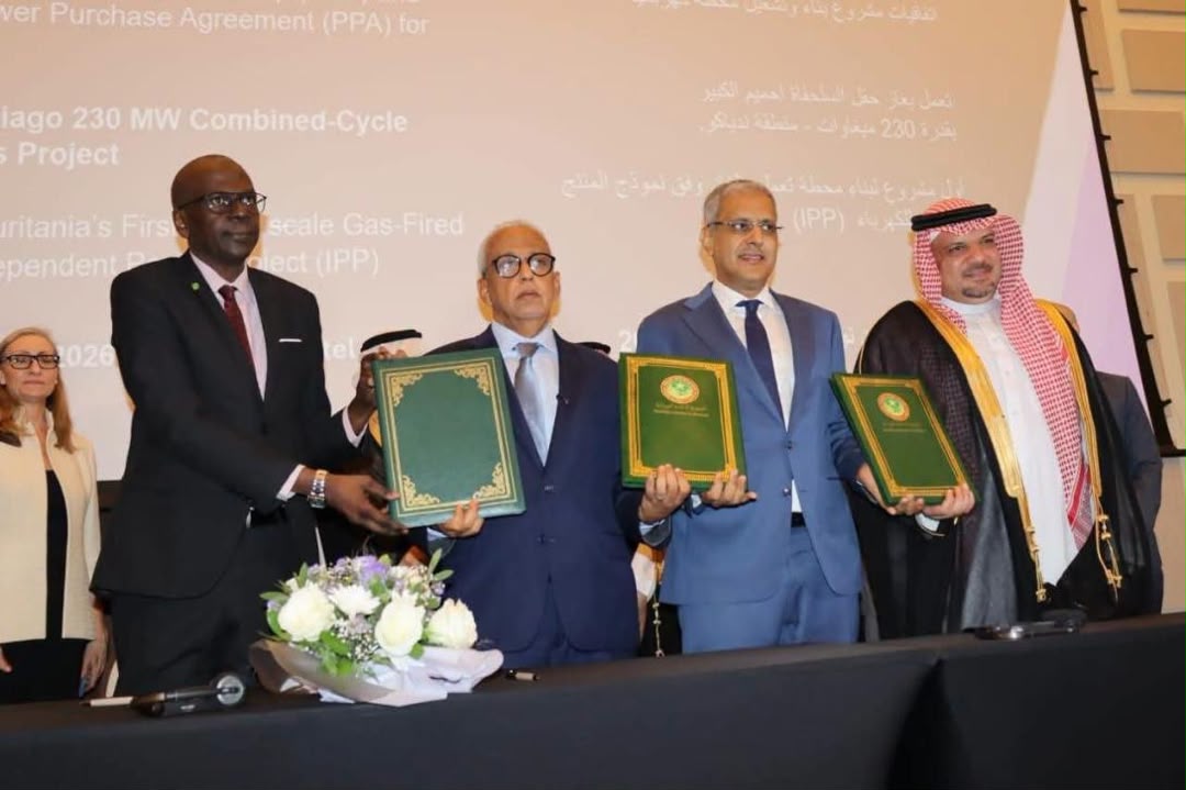 مدير الشراكة بين القطاعين العام والخاص: محطة اندياگو تمثل تحولا استراتيجيا في قطاع الطاقة