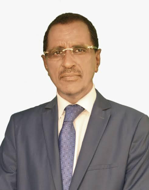 النائب زيني ولد أحمد الهادي رئيسا للجنة المالية بالبرلمان